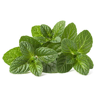 home remedies for dark underarms with mint leaves
