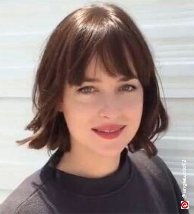 Dakota johnson in a sweatshirt  