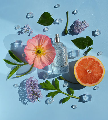 fragrance types - fresh