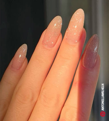 Elegant Nude Glitter Nail Art