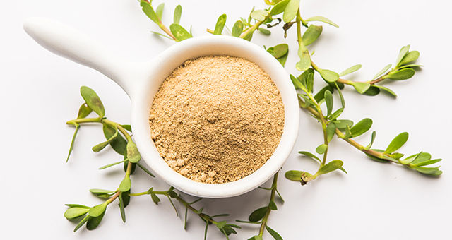 Brahmi Benefits For Hair To Strengthen & Revitalize Your Locks