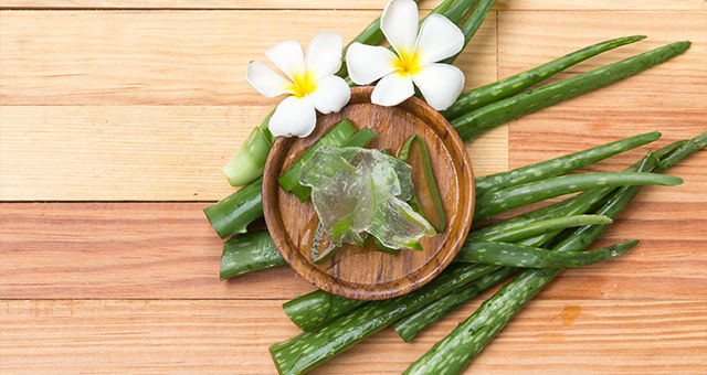Check-Out The Top Homemade Aloe Vera Gel For Glowing Skin