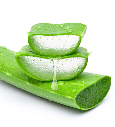  treat ingrown hair on leg with aloe vera
