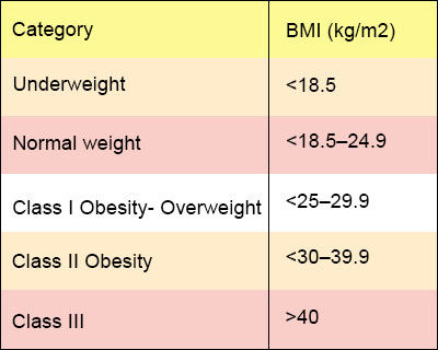 Everything About BMI and BMI Calculator - 2