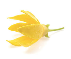 Enchanteur, Fine French Fragrances That Inspire Romance! - 2