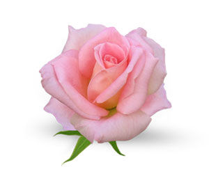 Enchanteur, Fine French Fragrances That Inspire Romance! - 3