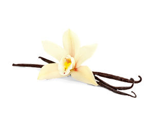 Enchanteur, Fine French Fragrances That Inspire Romance! - 4