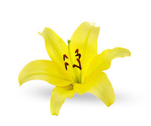 Enchanteur, Fine French Fragrances That Inspire Romance! - 5