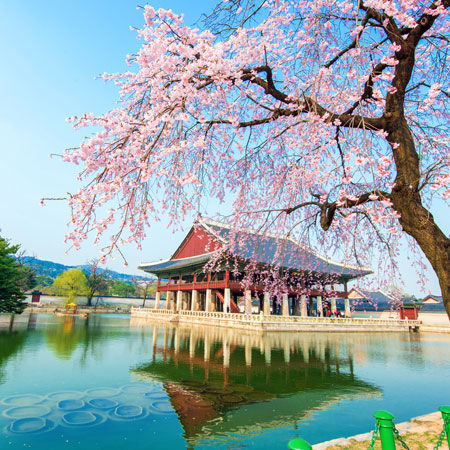 What makes Korean Beauty so special - 1