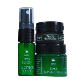 The Holiday Recovery Kit - 7