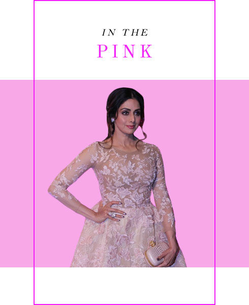 Sridevis Timeless Beauty Secrets - 2