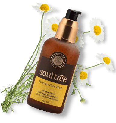 The best herbal facewashes to kickstart your day - 2