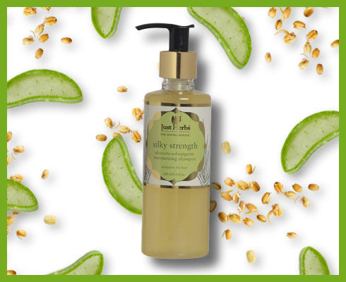 Best Herbal Shampoo for combination scalp