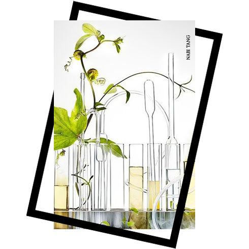 Beauty Milestones Of 2017 - 2