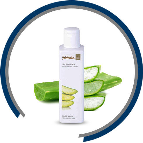 Natural Hair Care Ingredients – Aloe Vera