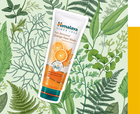 Best Herbal Brand in India – Himalaya