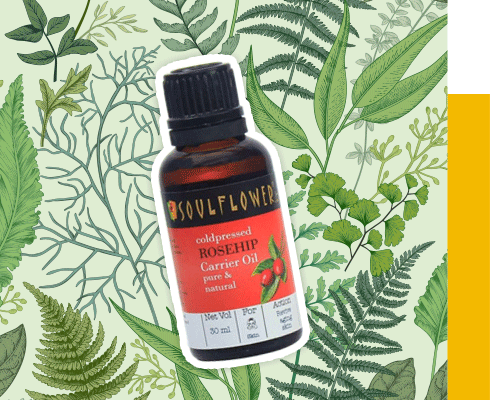 Best Herbal Brand in India - Soulflower