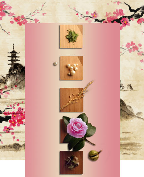 Move Over K Beauty, J Beauty is here! - 3