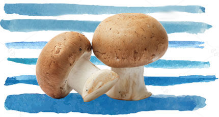 Foods To Increase Immunity- Mushrooms