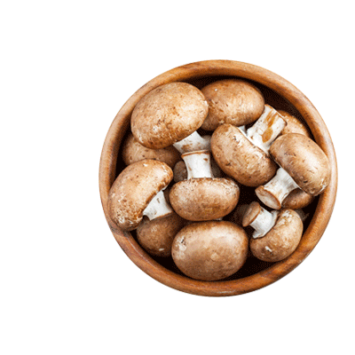 Decoded: The Diet for your Body Type - 6