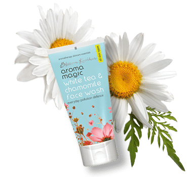 Tantalize Your Senses With Magical Aroma Magic - 1