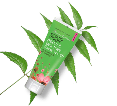 Tantalize Your Senses With Magical Aroma Magic - 2