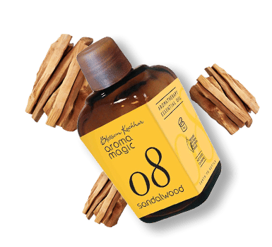 Tantalize Your Senses With Magical Aroma Magic - 9