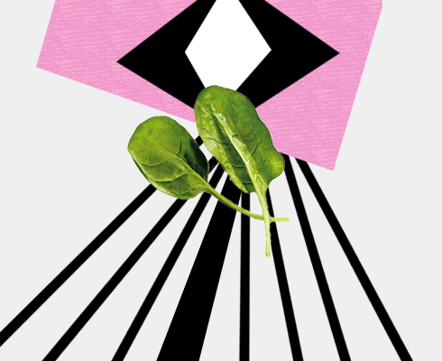 best superfoods list- spinach