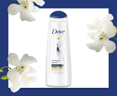 best shampoo for hair damage repair