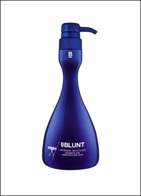 Best Products for Dry Frizzy Hair – Bblunt Shampoo