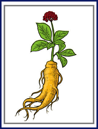 Six Herbs Every Man Needs - 4