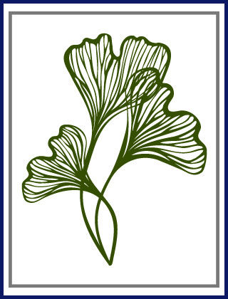 Six Herbs Every Man Needs - 2