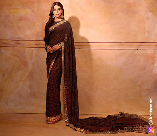 Brown sequin saree