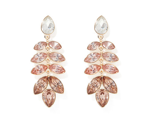 Brown Earrings