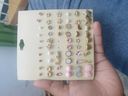 Anonymous thumbnail 1