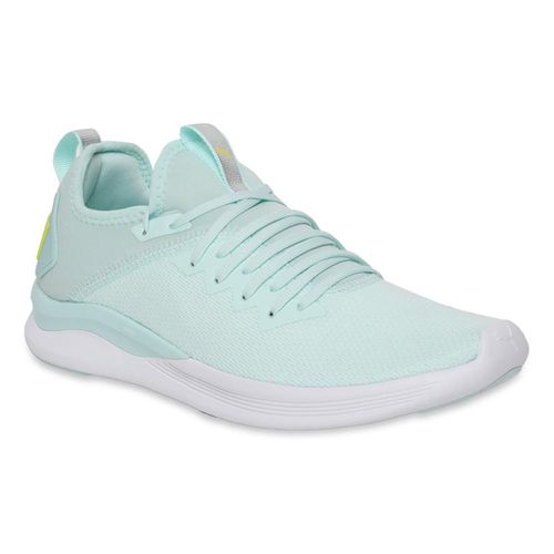 Footwear Puma Ignite Evoknit Flash Blue Buy Puma Ignite Flash