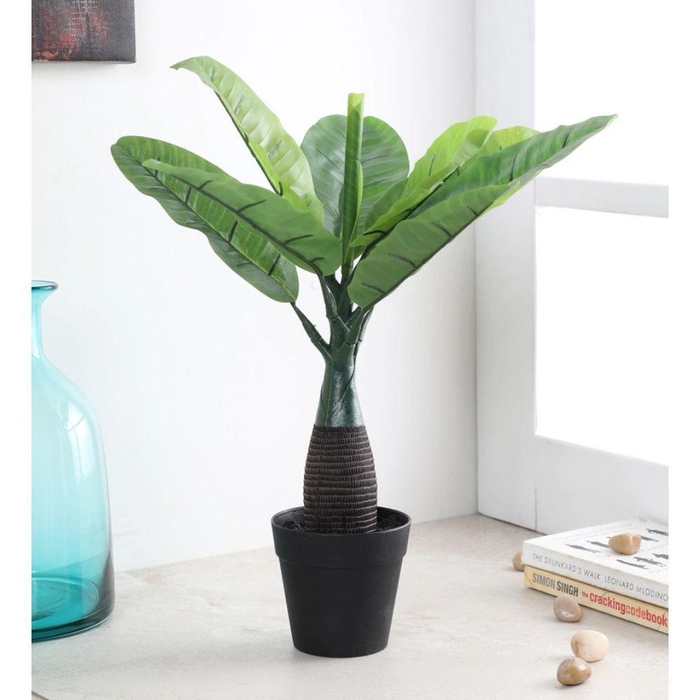 Fourwalls Artificial Banana Bonsai Plant in a Plastic Pot Buy Fourwalls Artificial Banana