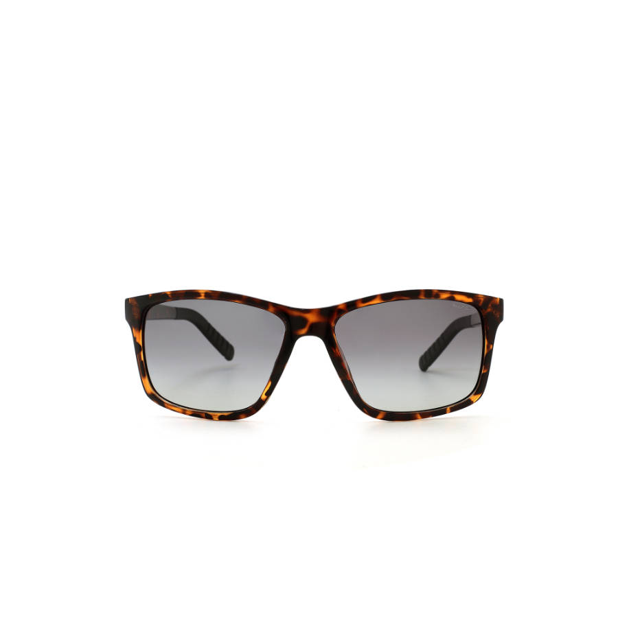 Nautica Green Lens Rectangular Sunglass Full Rim Brown Frame Color Polarized (NA 3644P C1)