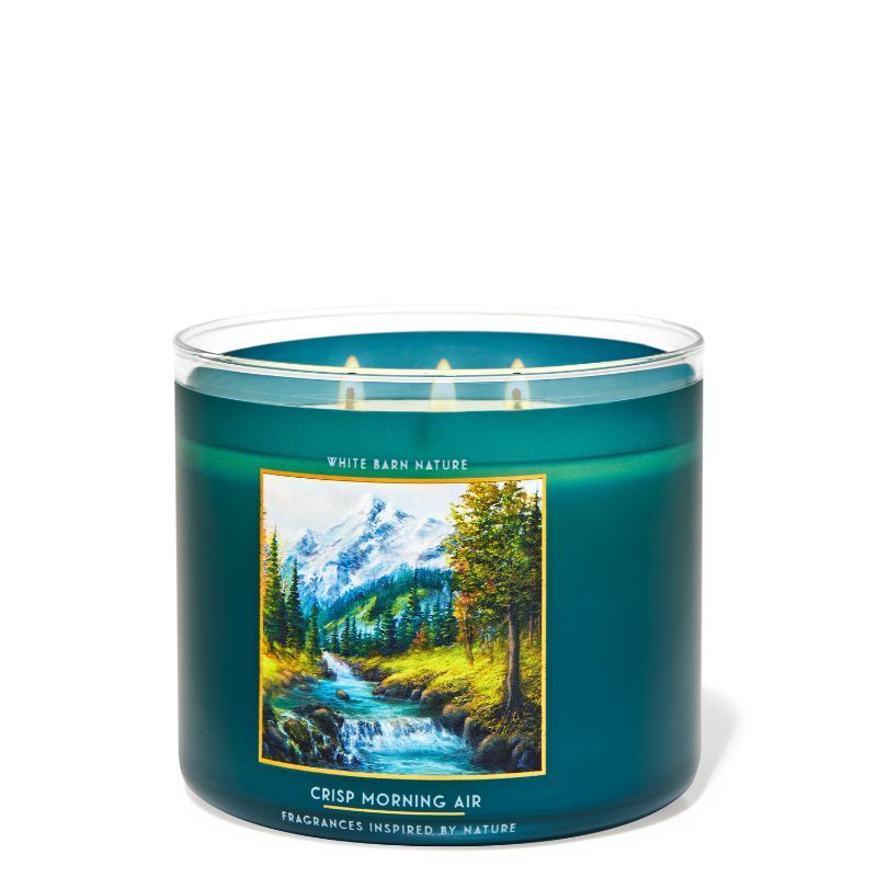 surf shop candle bath and body works