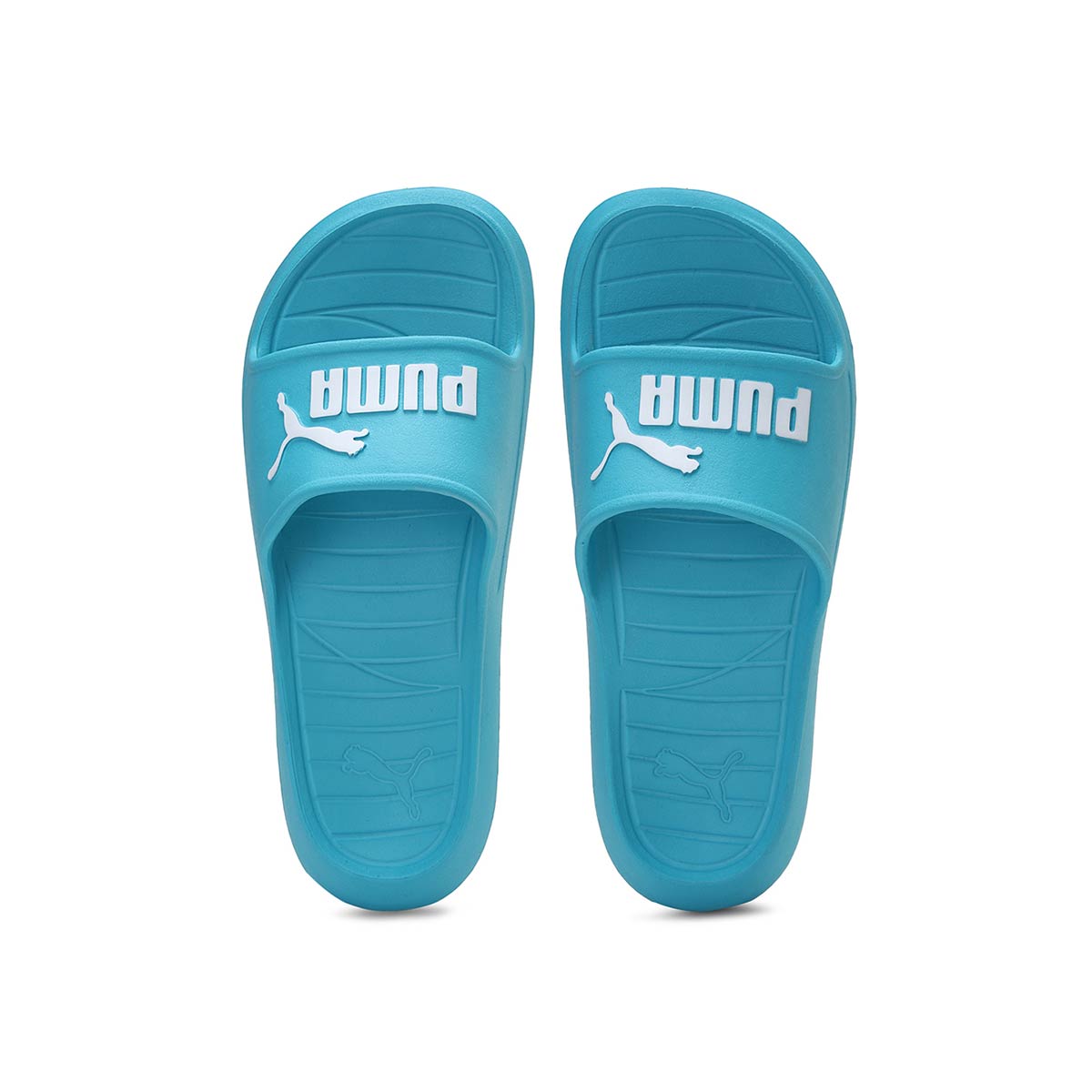 Puma Dive Cat V2 Unisex Blue Slides: Buy Puma Dive Cat V2 Unisex Blue 