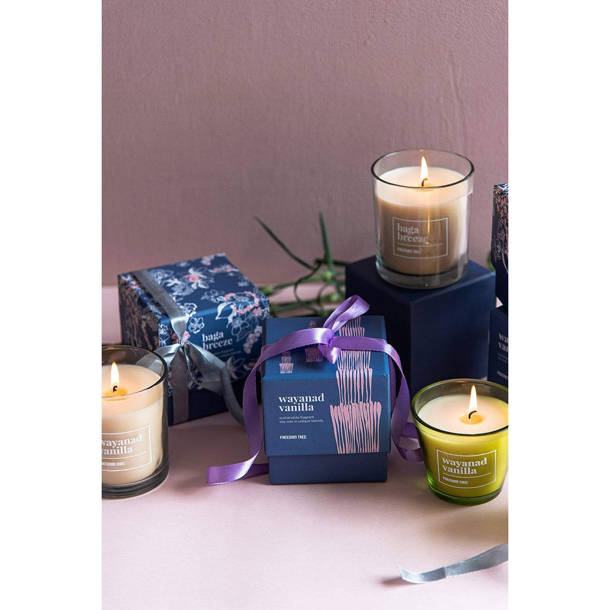Freedom Tree Wayanad Vanilla Scented Candle Natural Buy Freedom Tree