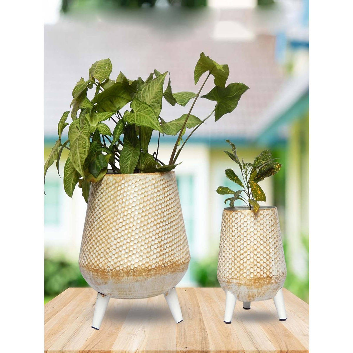 Buy Ecofynd Hazel Metal Planter with Stand Cream Online