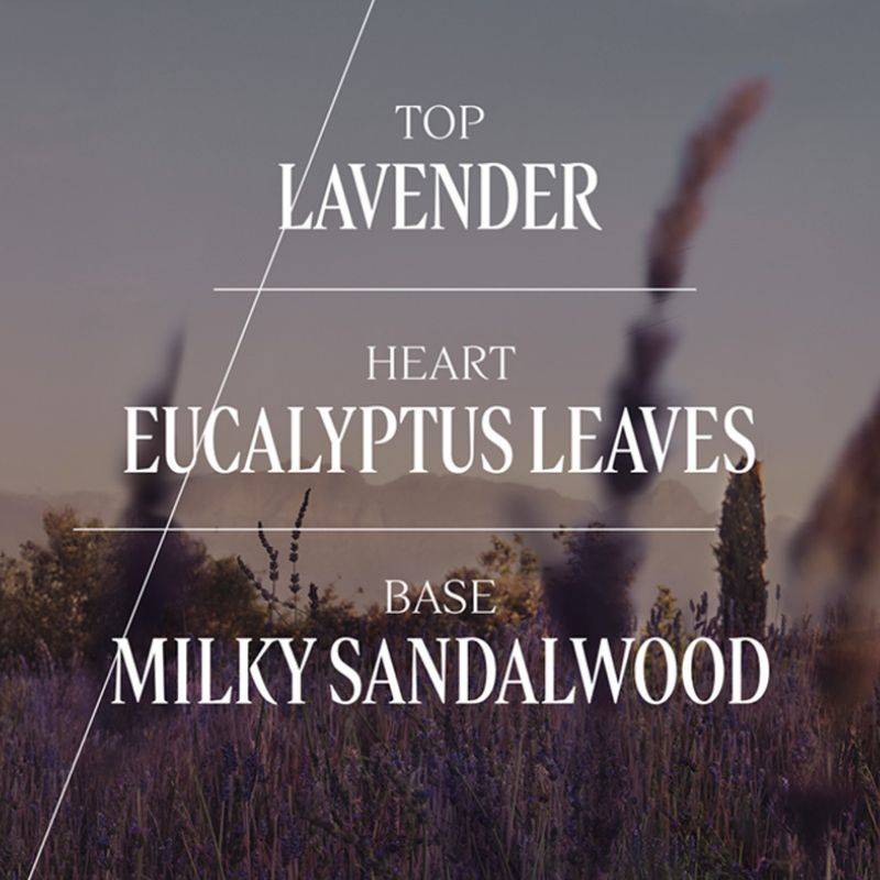 L'Occitane Lavande (Lavender) Eau De Toilette - view 5