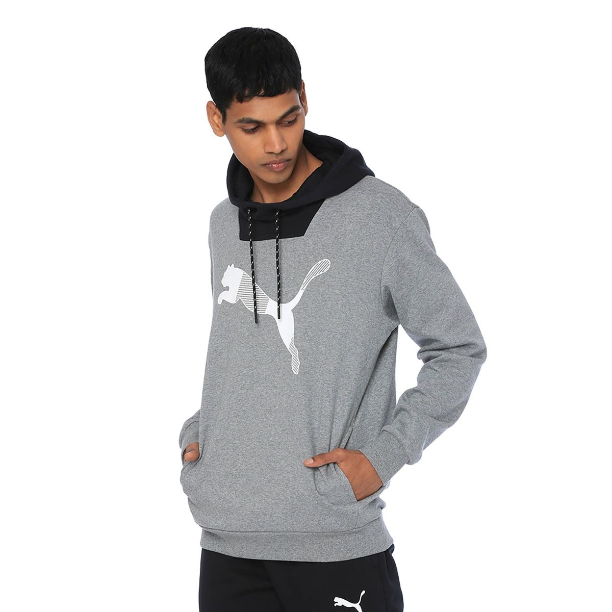 Puma modern sports fz hoody clearance fl