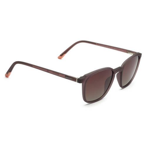 Buy French Connection Brown Gradient Lens Square Sunglass 