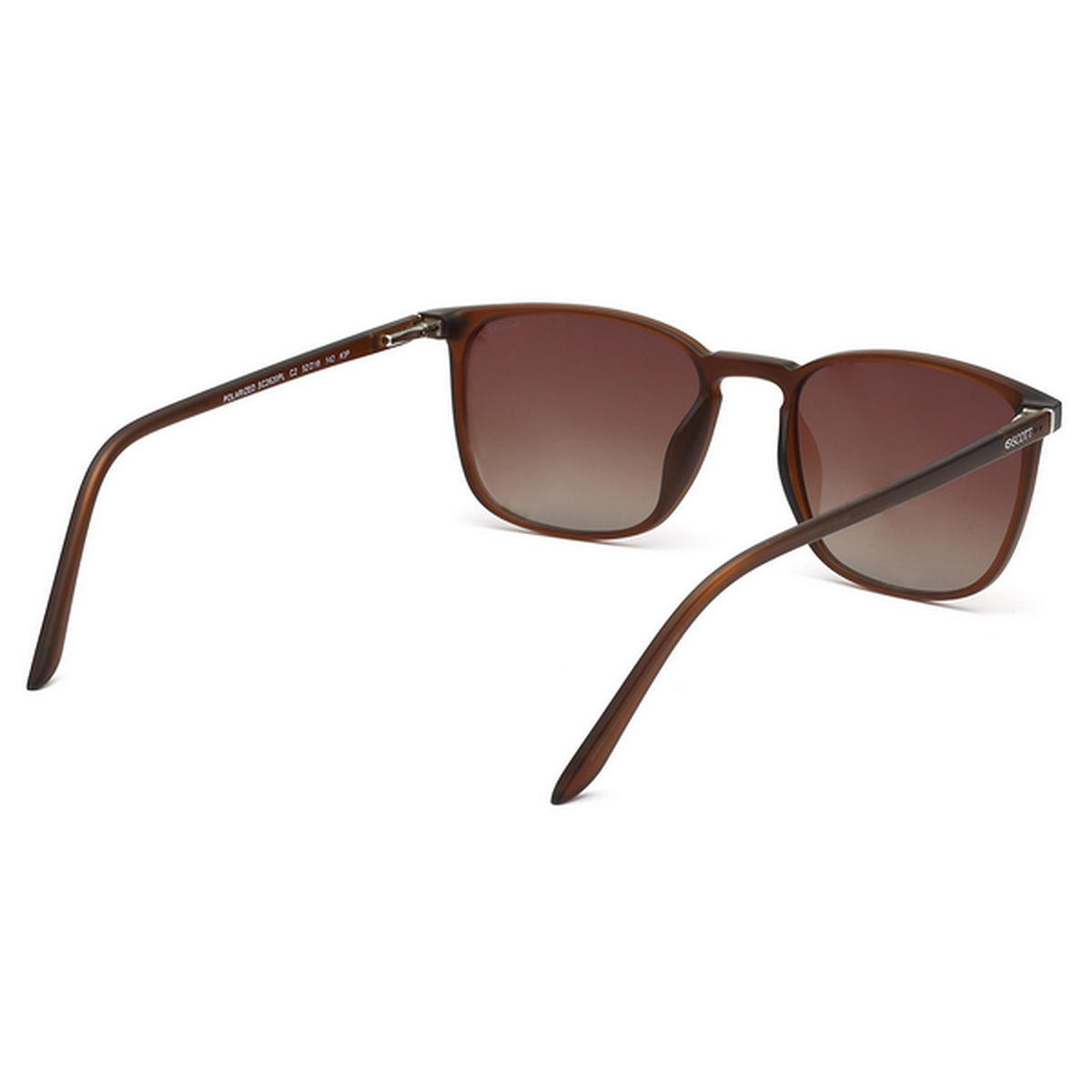 Scott best sale wayfarer sunglasses