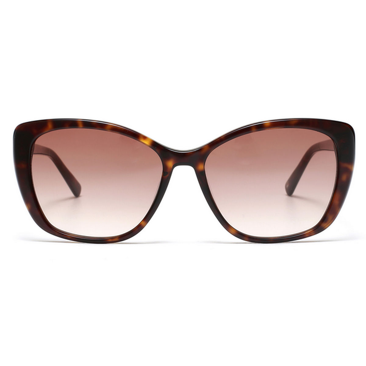 French connection cat eye sales sunglasses