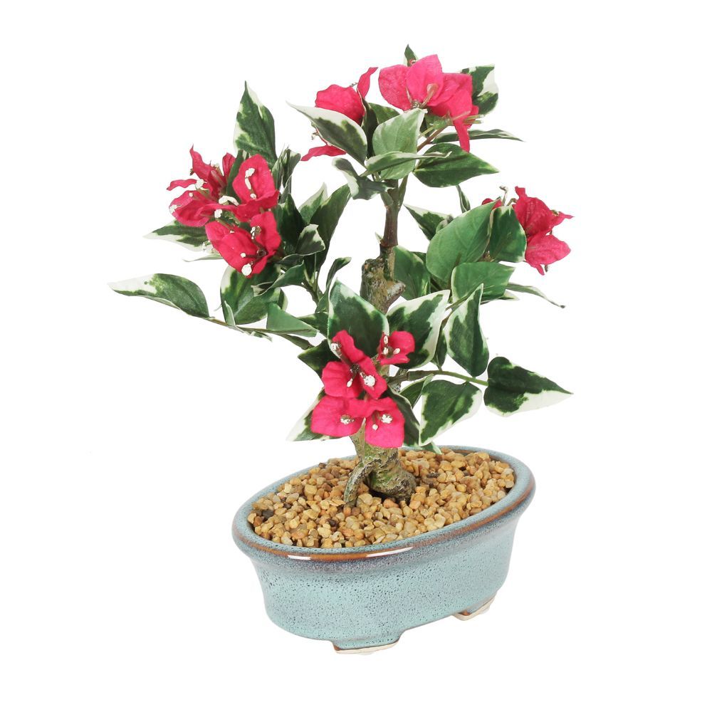 Fourwalls Artificial Bougainvillea Bonsai Plant in a Ceramic Pot Buy