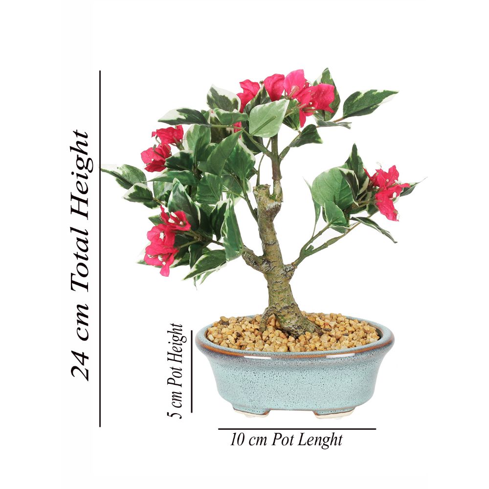 Fourwalls Artificial Bougainvillea Bonsai Plant in a Ceramic Pot Buy Fourwalls Artificial