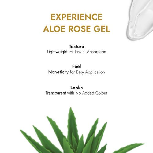 nackenkissen aloe vera Nackenstützkissen Recovery mit Bambus-Aktivkohle Viskoschaum – Third of Life main image 1